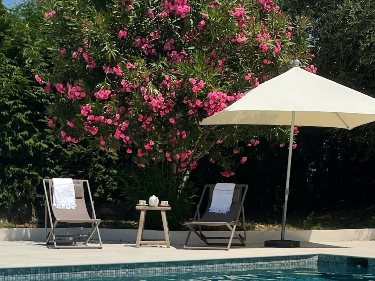 La Carpenée Apartamento Roquefort-les-Pins