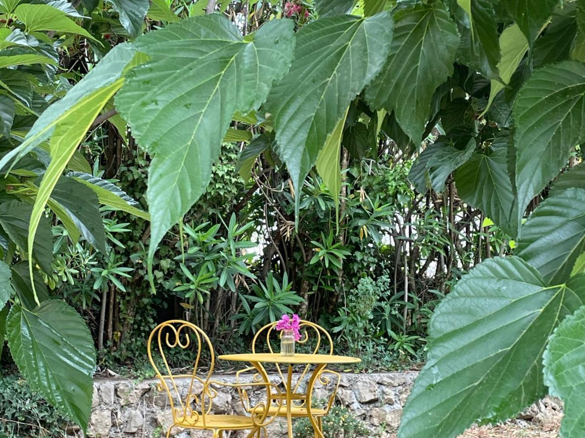 La Carpenee Apartment Roquefort-les-Pins